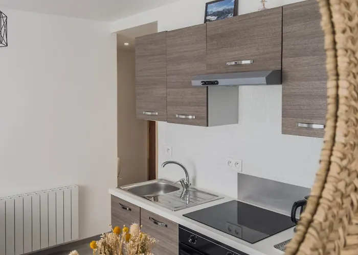 Le Dunant - Rocade - Tram * グルノーブル